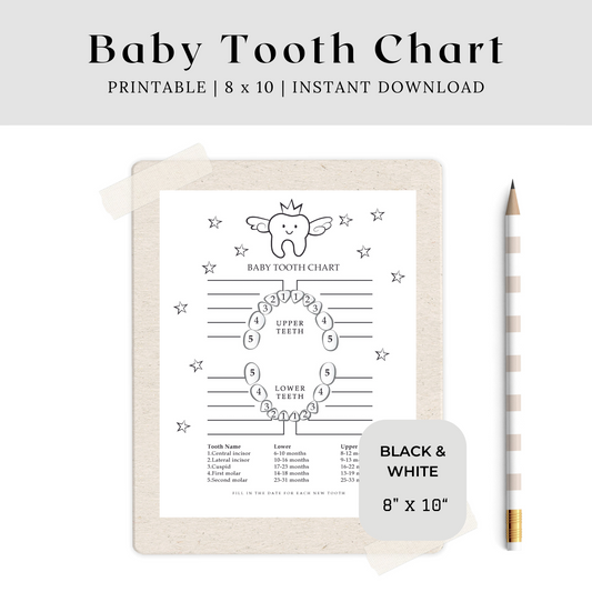 Printable Baby Tooth Chart - Black & White 8x10