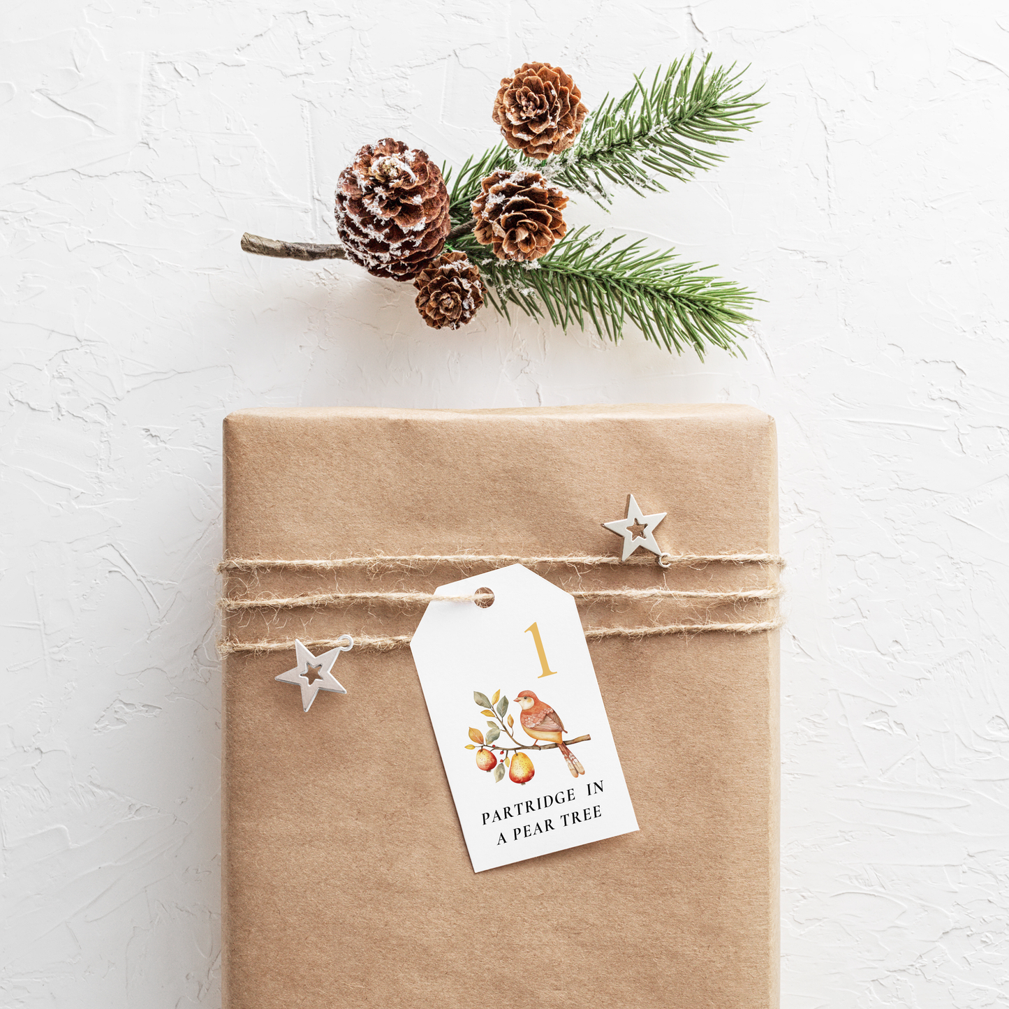 12 Days of Christmas Gift Tags - Digital Download