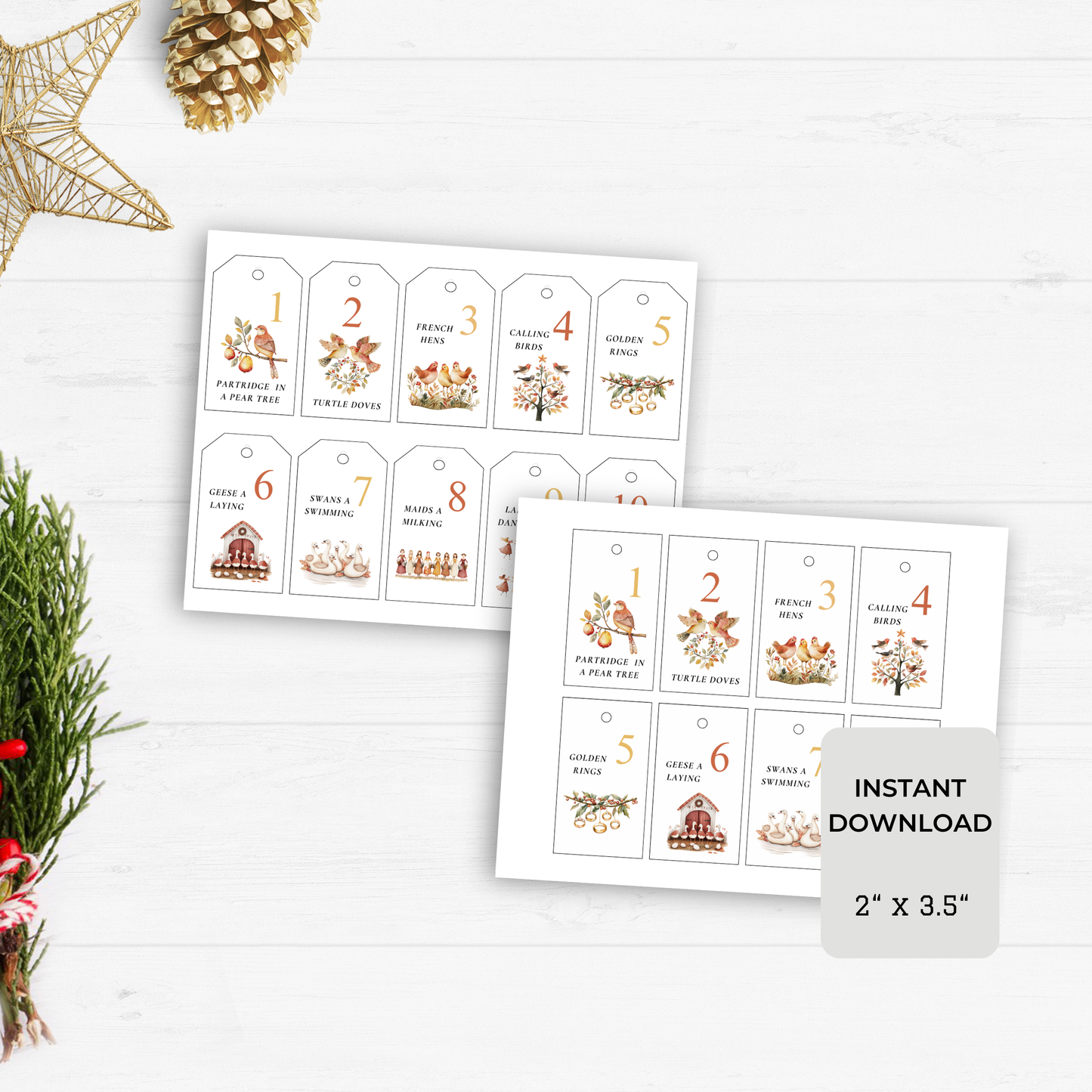 12 Days of Christmas Gift Tags - Digital Download